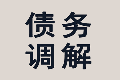 江苏某某实业有限公司与丁某某借贷争议案件